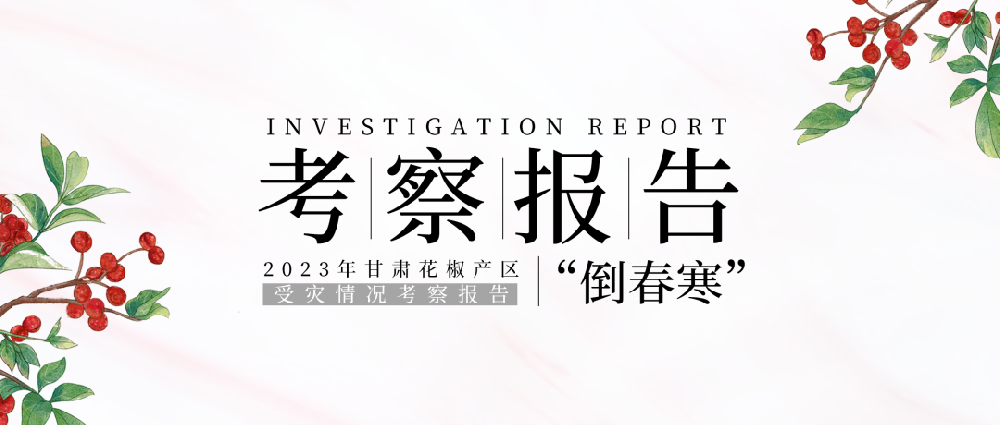 챨|2023໨챨