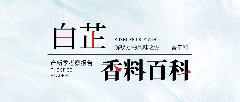 챨 | 2023Ʋ¿챨