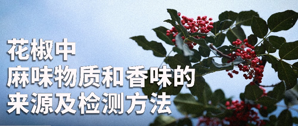 ζʺζԴҪ